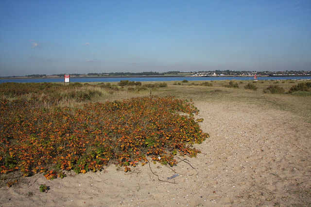 Mersea Stone Beach - Essex