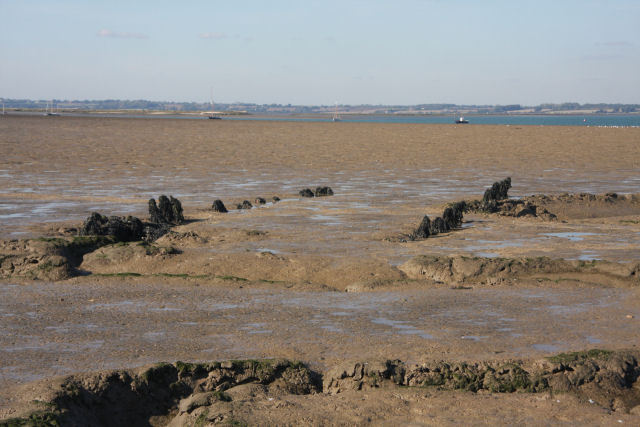 Mersea Stone Beach - Essex