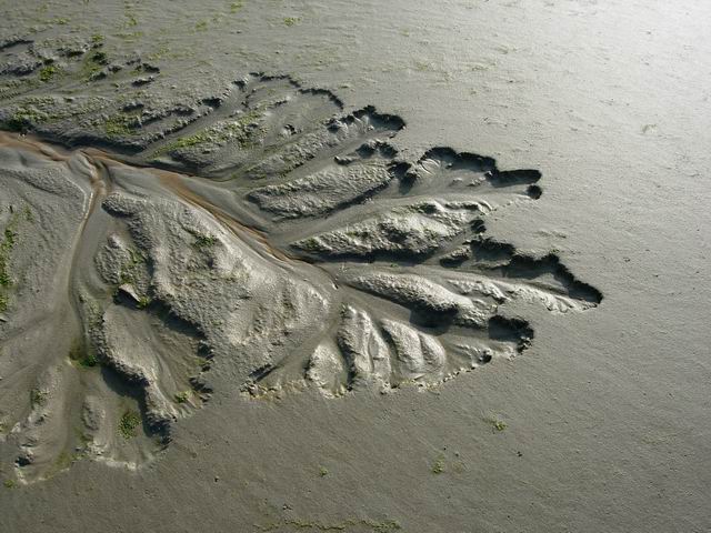 Thorney Island Beach - West Sussex