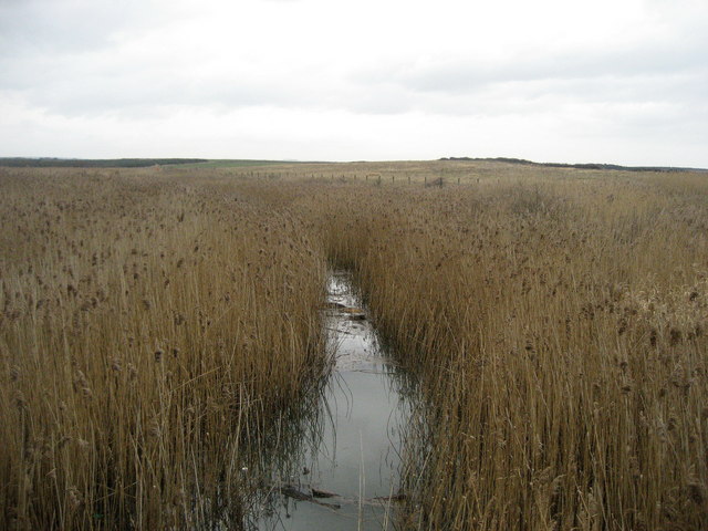 Druridge Bay (North) - Northumberland