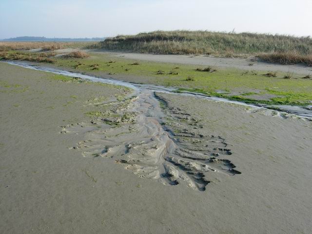 Thorney Island Beach - West Sussex