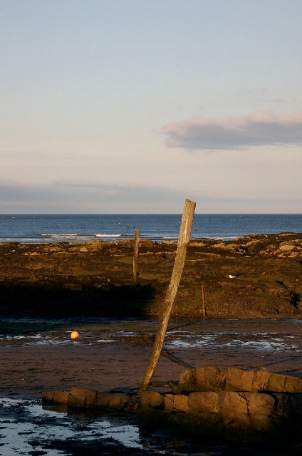 Westhaven Beach - Tayside