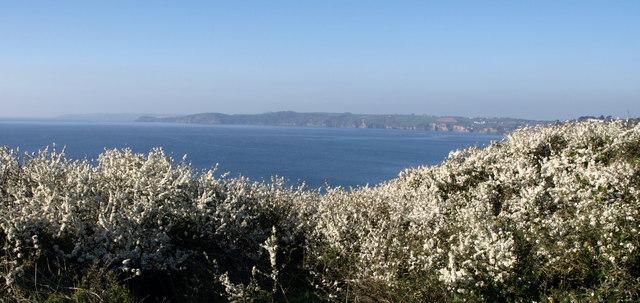 Crinnis Beach - Golf Course - Cornwall