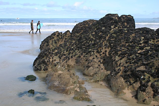 Towan Beach (Newquay) - Cornwall