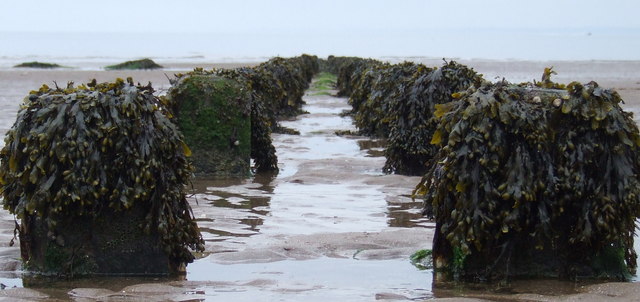 Monifieth Beach - Tayside