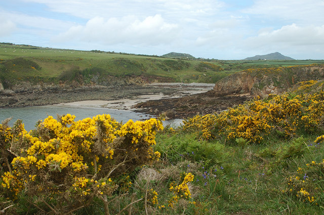 Porthlysgi Beach - Pembrokeshire