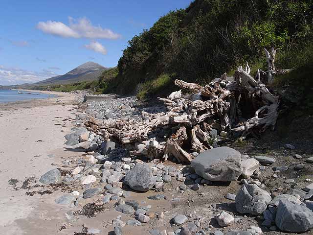 Old Head Beach - County Mayo