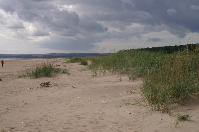 Tentsmuir Sands Beach - Fife