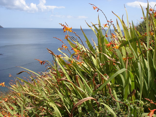 Portloe Beach - Cornwall