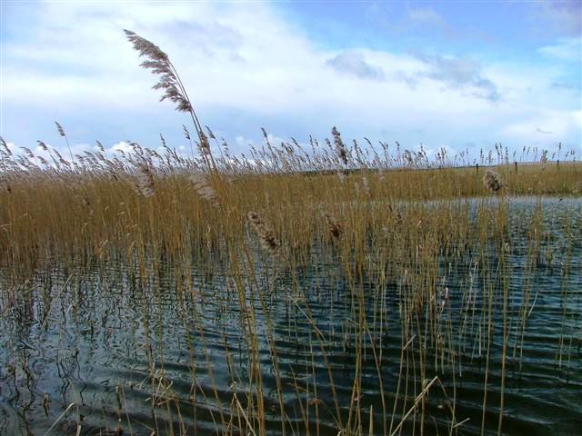 Druridge Bay (North) - Northumberland