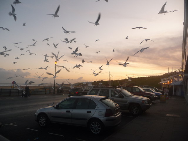 Gorleston Beach - Norfolk