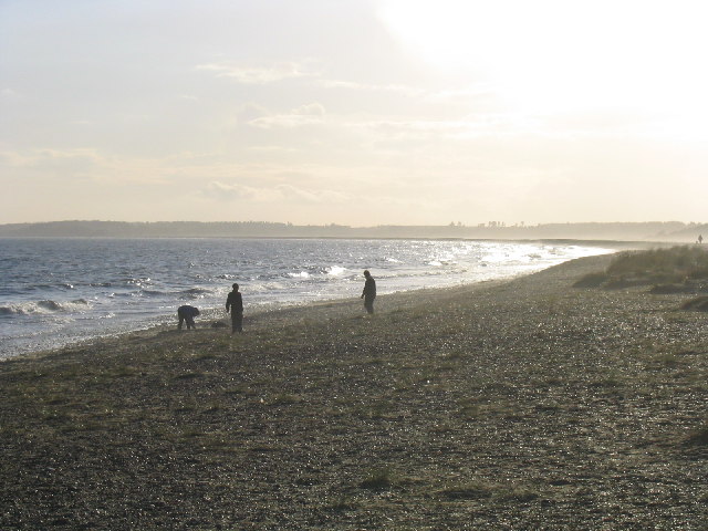 Walberswick Beach - Suffolk