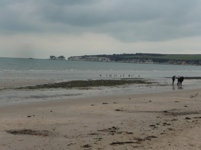 Studland - Knoll Beach - Dorset