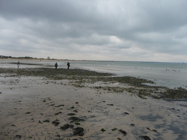 Studland - Knoll Beach - Dorset