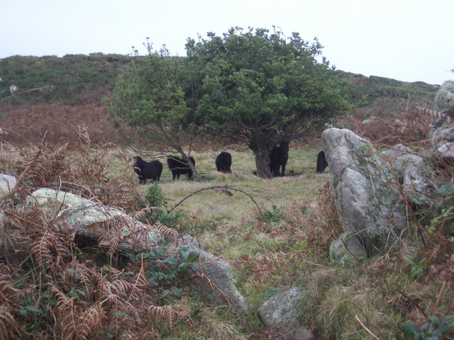 Rushy Bay - Isles of Scilly