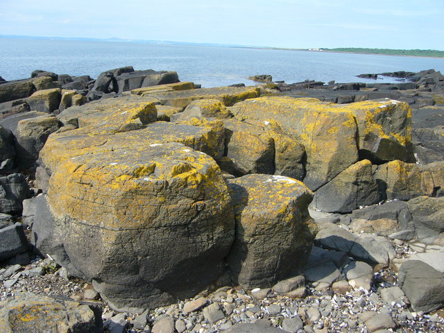 Longniddry Beach - Lothian