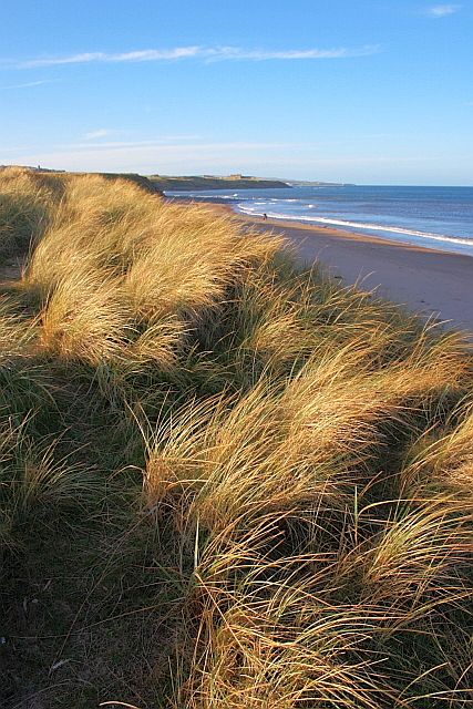 Cocklawburn Beach - Northumberland