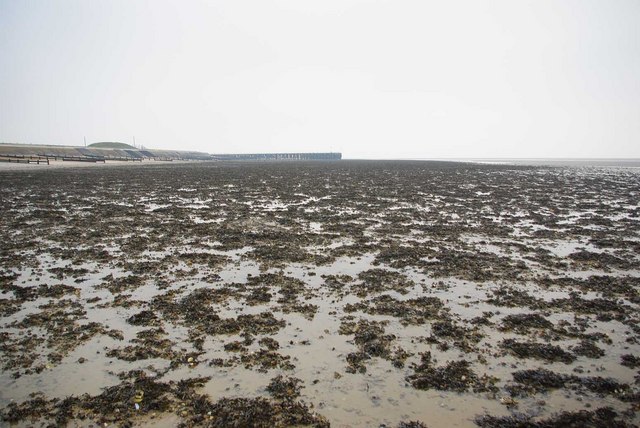 Shoeburyness Beach - Essex