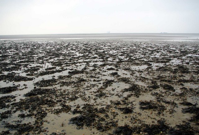 Shoeburyness Beach - Essex