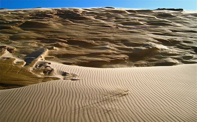 Newburgh Beach - Grampian