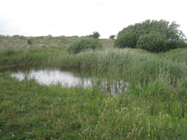 Saltfleetby Theddlethorpe Dunes Beach - Lincolnshire