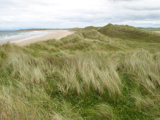 Streedagh Beach - County Sligo