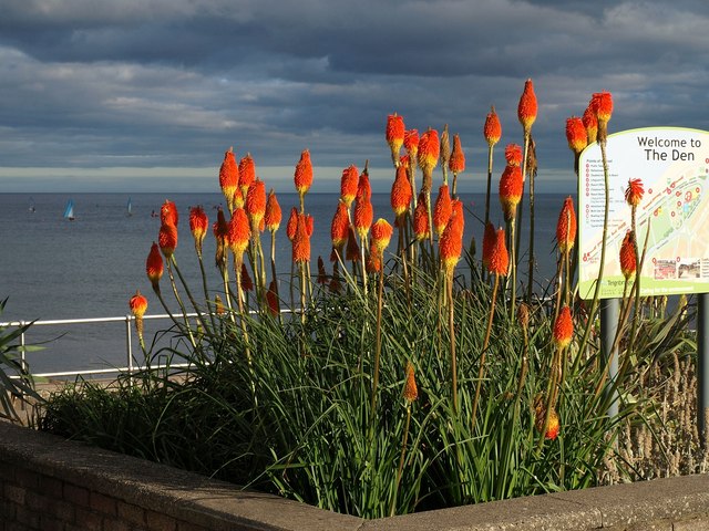 Teignmouth Beach - Devon