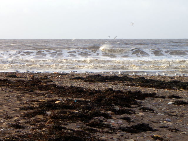 Doniford Beach - Somerset