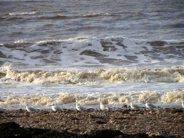 Doniford Beach - Somerset