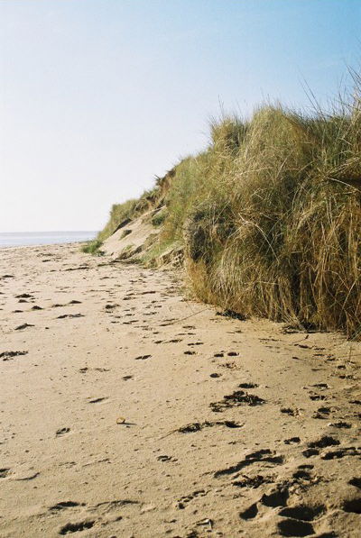 Burn mouth Beach (Dornoch) - Highland