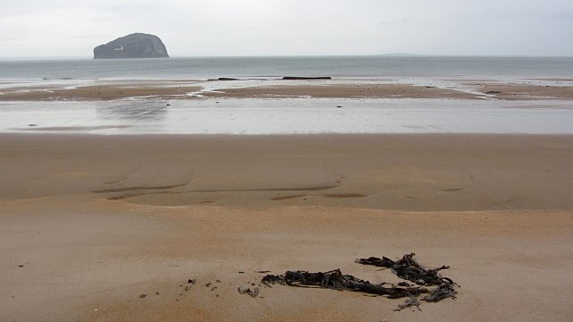 Seacliff Beach - Lothian