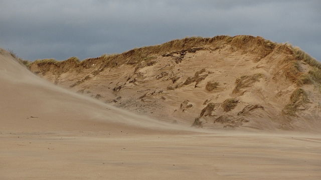 Tyninghame Beach - Lothian