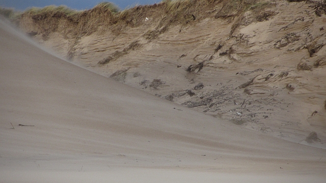 Tyninghame Beach - Lothian