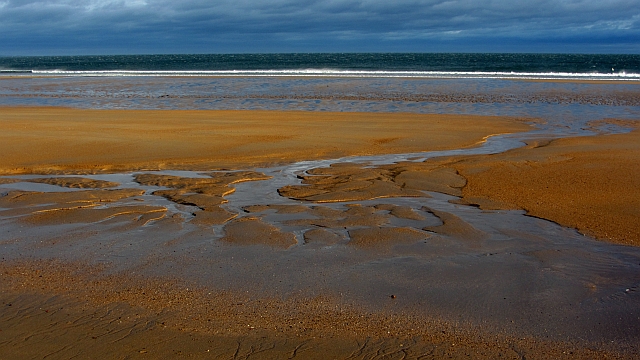 Tyninghame Beach - Lothian