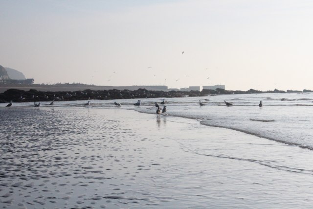 Hastings Beach - East Sussex