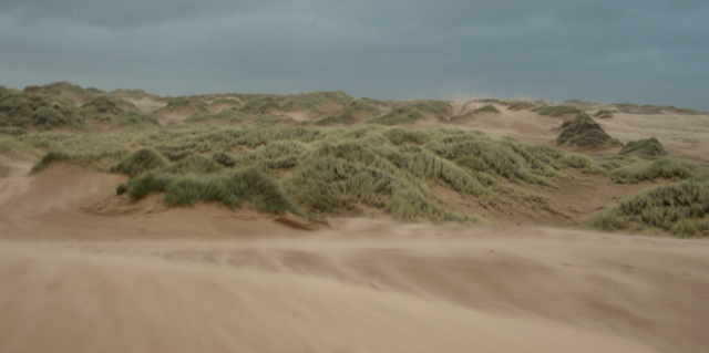 Newburgh Beach - Grampian