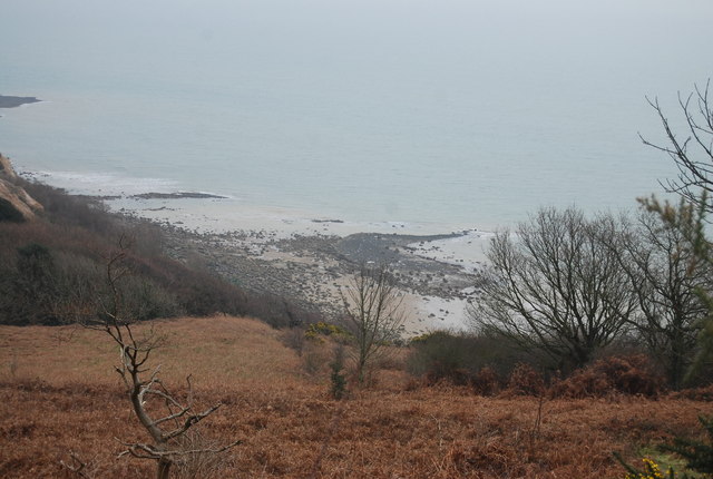 Fairlight Glen Beach - East Sussex