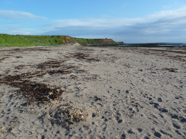 Berwick-upon-Tweed Beach - Northumberland