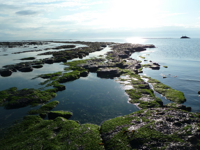 Berwick-upon-Tweed Beach - Northumberland