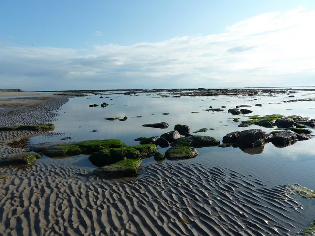 Berwick-upon-Tweed Beach - Northumberland