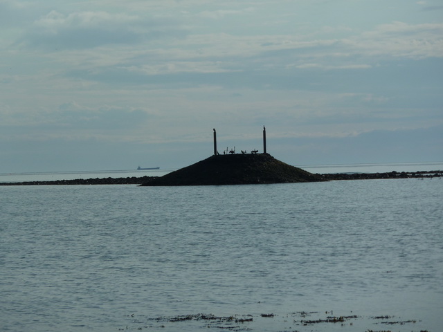 Berwick-upon-Tweed Beach - Northumberland