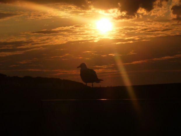 Westbrook Bay (Margate) - Kent