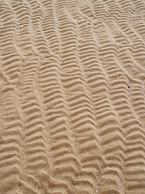 Lunan Bay - Tayside