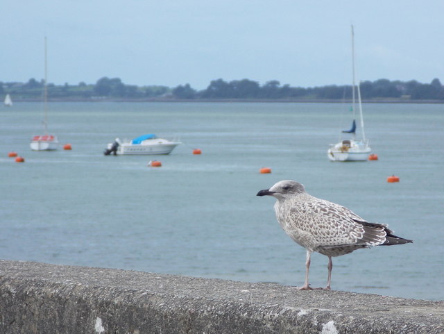 Felinheli Beach - Gwynedd