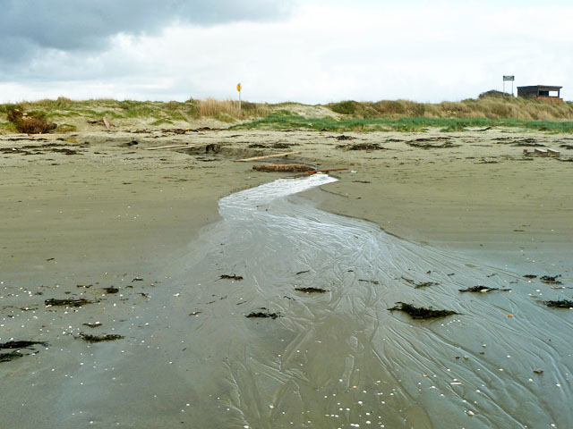 Thorney Island Beach - West Sussex