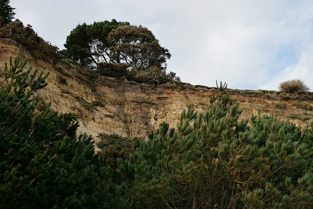 Canford Cliffs Beach (Poole) - Dorset