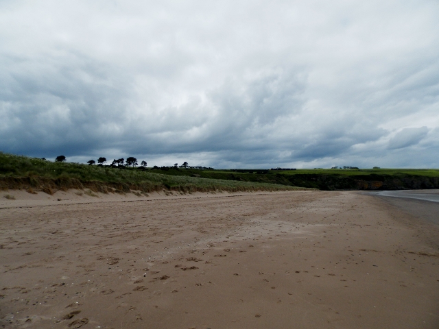 Lunan Bay - Tayside