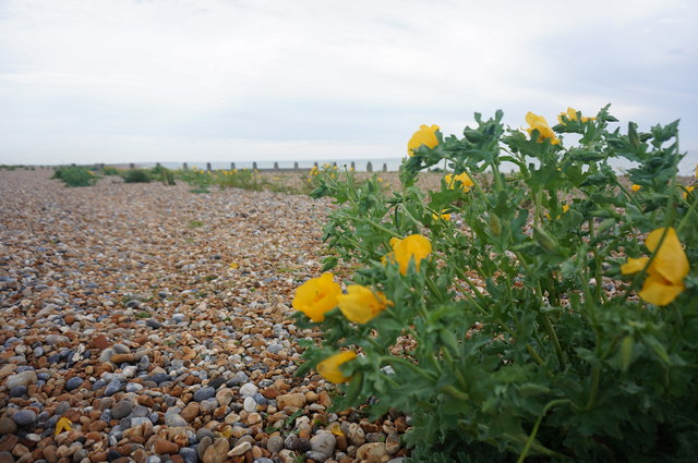 Winchelsea Beach - East Sussex