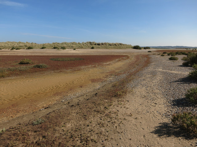 Blakeney Point Beach - Norfolk