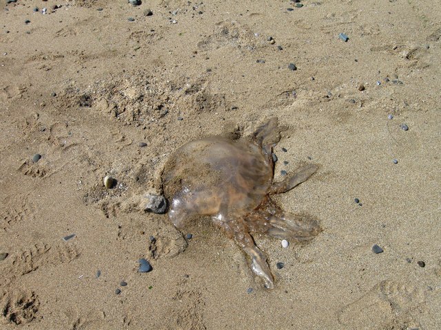 Old Colwyn Beach - Clwyd